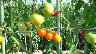 DCF00120.JPG